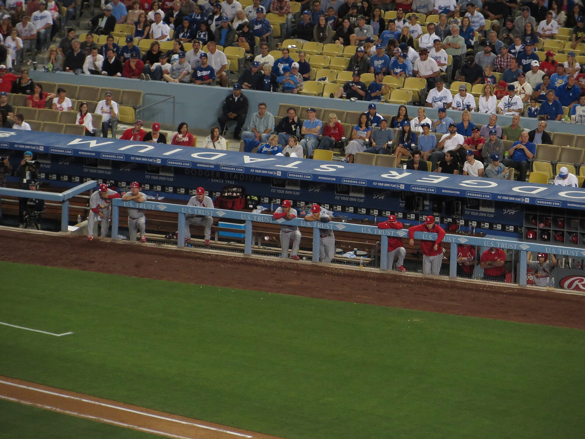 Des supporters torse nu entonnent des chants de football lors d'un match des Cardinals